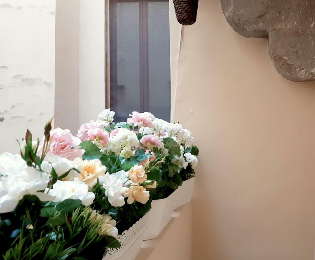 Velvet Loft - Santo Spirito Apartment Firenze Esterno foto